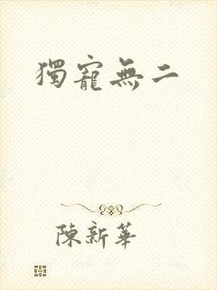 独宠无二封面