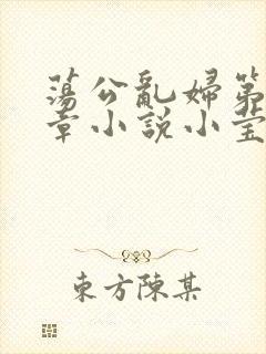 荡公乱妇第51章小说小莹