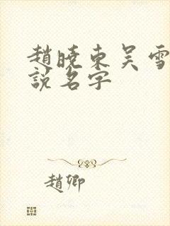 赵晓东吴雪晴小说名字封面