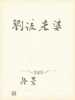 刘流老婆
