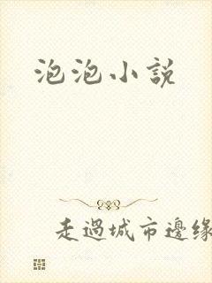 泡泡小说