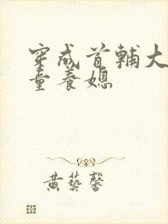 穿成首辅大人的童养媳