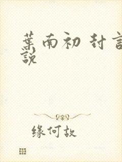 叶南初 封言小说封面