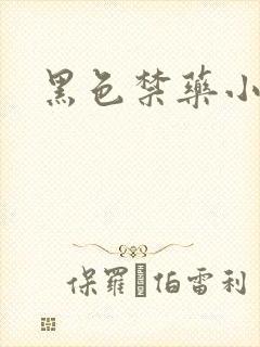 黑色禁药小说
