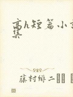 高h短篇小说合集封面