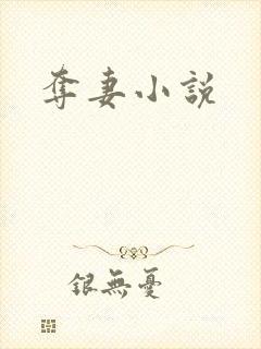 夺妻小说封面
