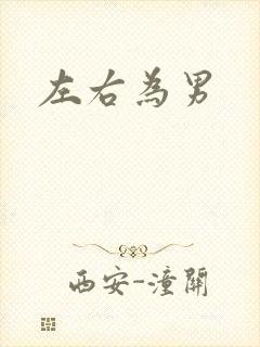 左右为男封面