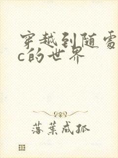 穿越到随处可以c的世界