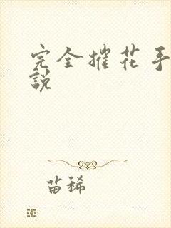 完全摧花手册小说封面