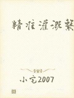 精准灌溉系统