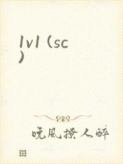 1v1 (sc)