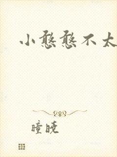 小憨憨不太二封面