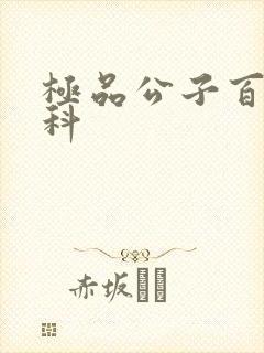 极品公子百度百科