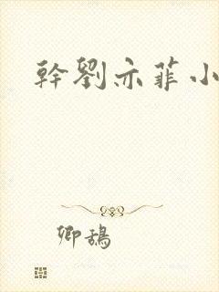 干刘亦菲小说