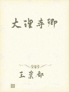 大理寺卿