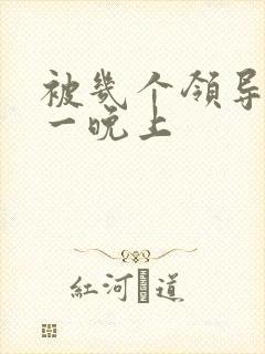 被几个领导玩弄一晚上