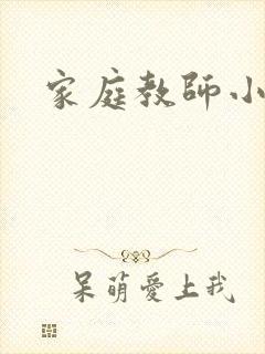家庭教师小说