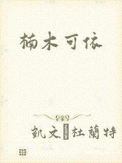 楠木可依封面