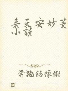 秦天安妙菱修仙小说