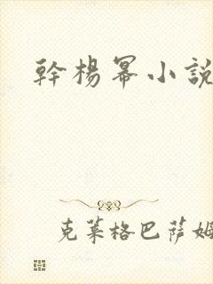 干杨幂小说