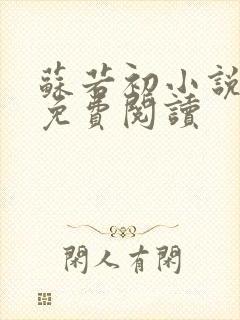 苏若初小说全文免费阅读封面