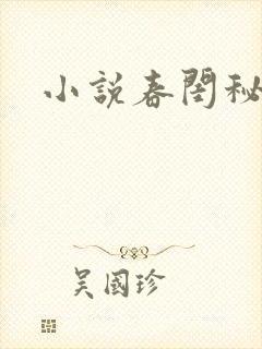 小说春闺秘史封面