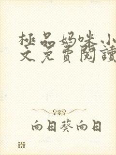 极品妈咪小说全文免费阅读