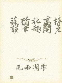 苏榆北高梓淇小说笔趣阁免费阅读封面