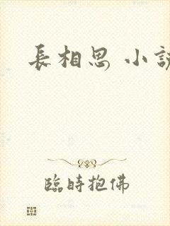 长相思 小说