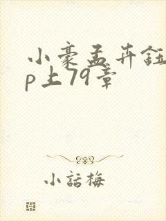 小豪孟卉钰慧三p上79章封面