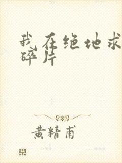 我在绝地求生捡碎片