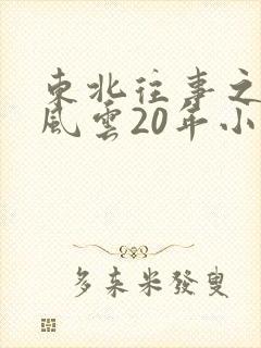 东北往事之黑道风云20年小说