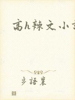 高h辣文小说