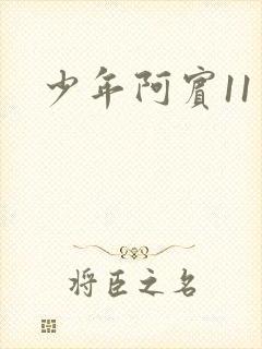 少年阿宾11封面