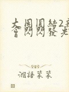 大团圆结2亲情会闪闪发光亲情会2