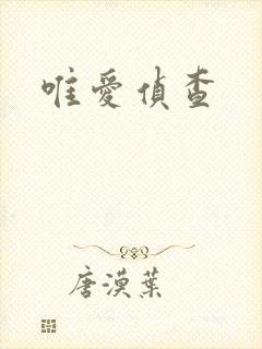唯爱侦查