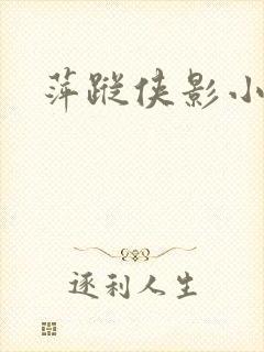 萍踪侠影小说