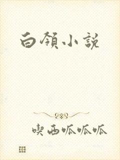 白领小说封面
