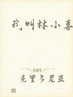 我叫林小喜17封面