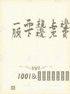 一面亲上边一面膜下边免费阅读