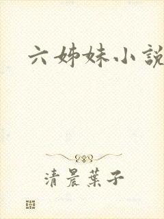 六姊妹小说