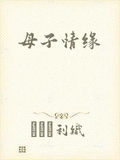母子情缘封面