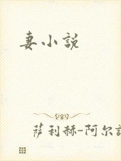 妻小说