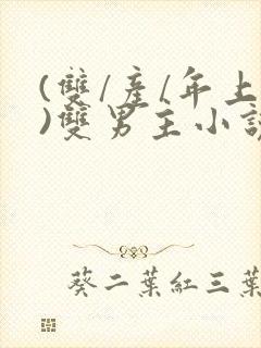 (双/产/年上)双男主小说