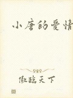 小唐的爱情史