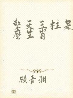 擎天玉柱是指什么生肖封面