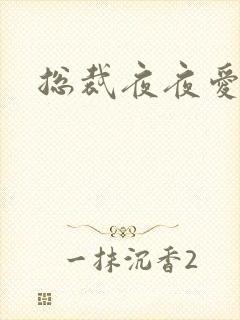 总裁夜夜爱