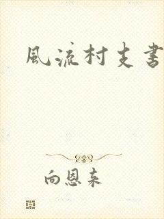 风流村支书封面