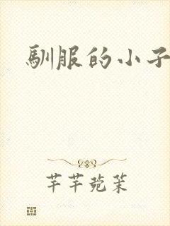 驯服的小子4