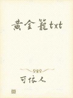 黄金笼txt封面